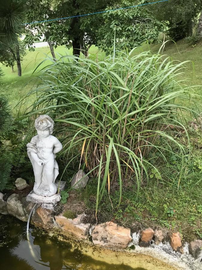 Ferienhaus Messern 外观 照片